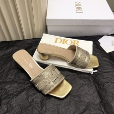 Christian Dior Slippers